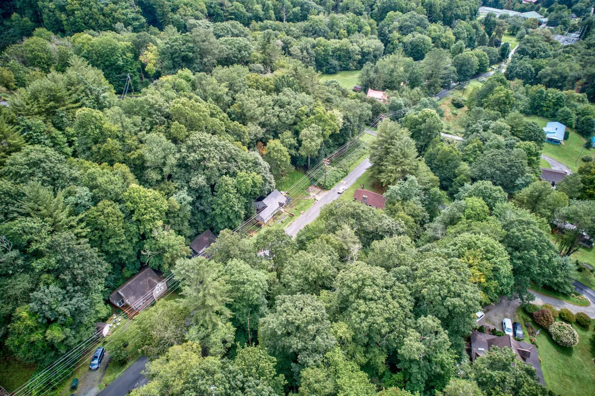 A peaceful, scenic view of dense greenery and scattered houses connected by a winding road. The composition captures the serene mountain setting and hints at the local neighborhood's natural beauty, aligning with nearby attractions like Beech Mountain and Sugar Mountain.