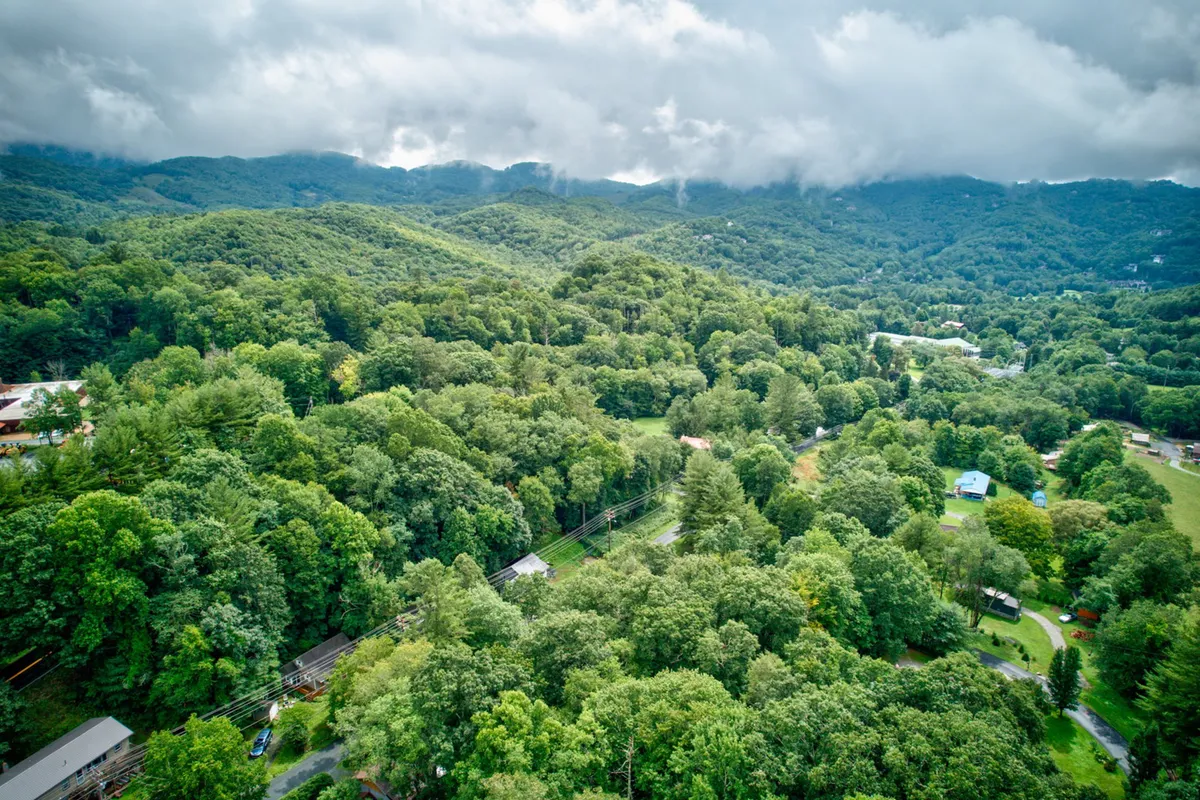 A sweeping view of rolling hills and dense forest under a cloudy sky, evoking the beauty of the surrounding mountains. The landscape is tranquil and expansive, ideal for hiking, nature walks, or simply appreciating the natural splendor with your dog.
